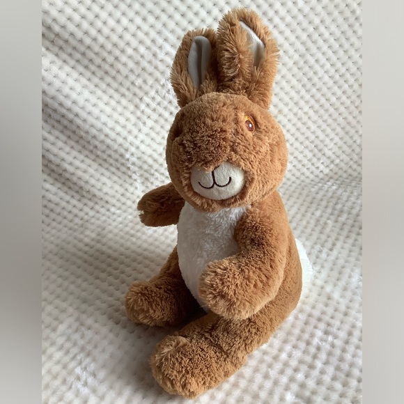 Peter Rabbit Beatrix Potter Plush Bunny Rabbit Stuffed Animal Embroidered Eyes - Picture 9 of 13